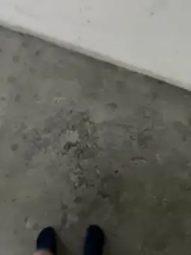 Wvpppp online show from 02/24/26, 08:37