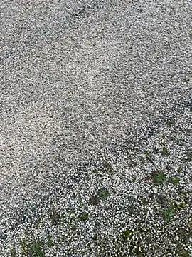 magicdickx21 online show from 02/20/26, 02:08