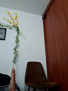 Luis prince  online show from 02/03/26, 06:24