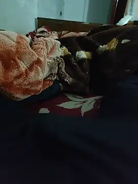 amirMohamed58 online show from 02/08/26, 12:08