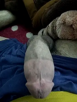 amirMohamed58 online show from 02/23/26, 09:26