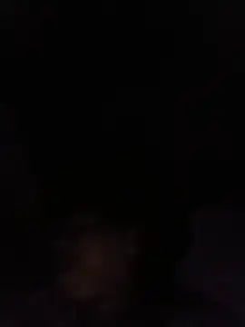 punamji sexe online show from 05/31/26, 11:16