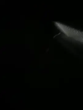 Jordan Blanco online show from 03/30/26, 11:11