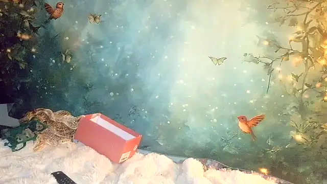 Blondie the librarian online show from 04/21/26, 12:23