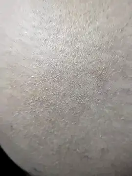 Romantic-Couple999 online show from 04/07/26, 06:26