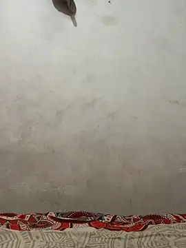 dominick fran online show from 03/10/26, 11:31