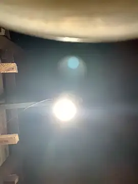 Snapshot of ngoccc-nga chatting on 03/01/26, 01:11 ngoccc-nga online show from 03/01/26, 01:11