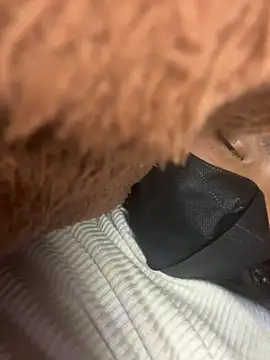 Violin xue online show from 02/14/26, 11:32