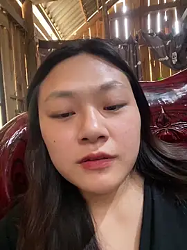 bikhidj online show from 04/11/26, 05:26