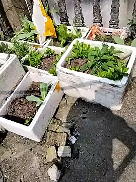 Queen-love45 online show from 03/01/26, 03:39