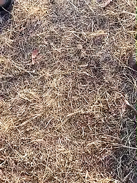 babu bull online show from 02/13/26, 02:33