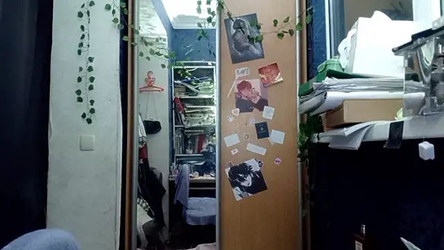 PhoebePalmer online show from 03/28/26, 07:48