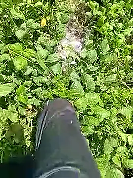 Cute Boy 4 online show from 04/09/26, 06:30