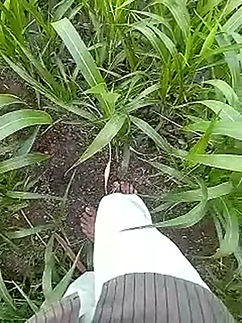 Cute Boy 4 online show from 04/17/26, 02:03