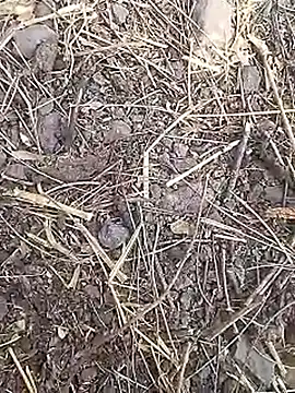 Cute Boy 4 online show from 03/19/26, 07:41