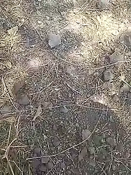 Cute Boy 4 online show from 03/15/26, 08:10