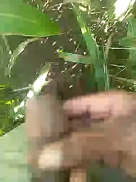 Cute Boy 4 online show from 02/14/26, 05:18