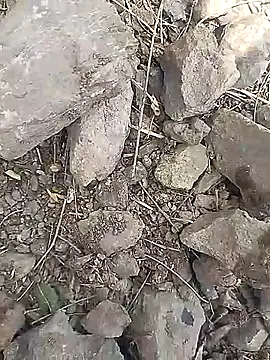 Cute Boy 4 online show from 03/30/26, 06:48