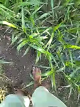 Cute Boy 4 online show from 04/06/26, 02:40