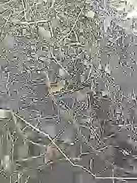 Cute Boy 4 online show from 04/04/26, 07:37