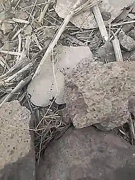 Cute Boy 4 online show from 02/18/26, 07:39