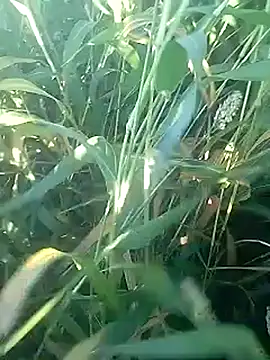 Cute Boy 4 online show from 02/27/26, 02:45