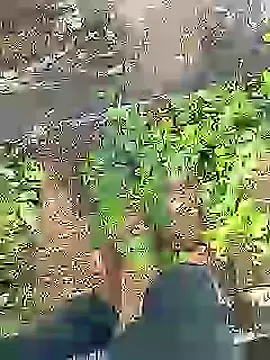 Snapshot of Cute_Boy_4 chatting on 07/16/26, 04:31 Cute Boy 4 online show from 07/16/26, 04:31