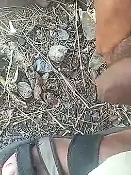 Cute Boy 4 online show from 03/18/26, 07:00