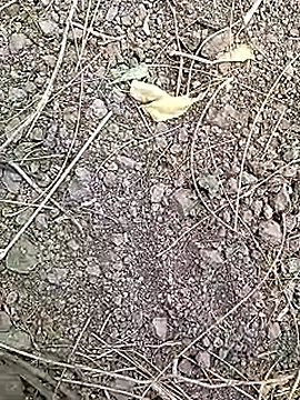 Cute Boy 4 online show from 04/07/26, 07:32