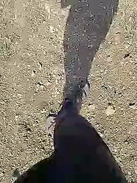 Cute Boy 4 online show from 04/10/26, 04:19