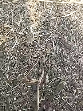 Cute Boy 4 online show from 03/16/26, 07:45