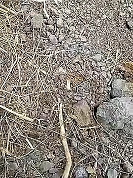 Cute Boy 4 online show from 04/08/26, 07:32