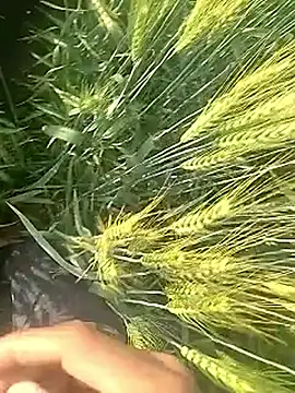 Cute Boy 4 online show from 02/10/26, 03:27