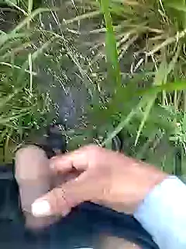 Cute Boy 4 online show from 04/11/26, 02:41