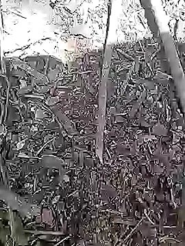 Cute Boy 4 online show from 04/15/26, 08:20