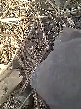 Cute Boy 4 online show from 03/13/26, 09:58