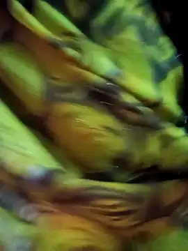 Muskan44s online show from 02/17/26, 12:24