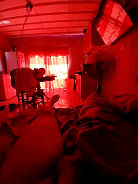 Snapshot of elvergon23139 chatting on 02/08/26, 02:15 elvergon23139 online show from 02/08/26, 02:15