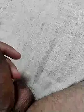 homem-amador online show from 02/28/26, 04:06