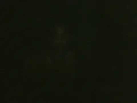 smroy93612 online show from 05/26/26, 06:39