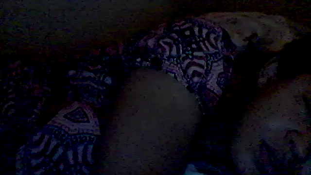 lorraine2036 online show from 02/17/26, 02:58