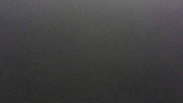 lorraine2036 online show from 02/20/26, 04:09