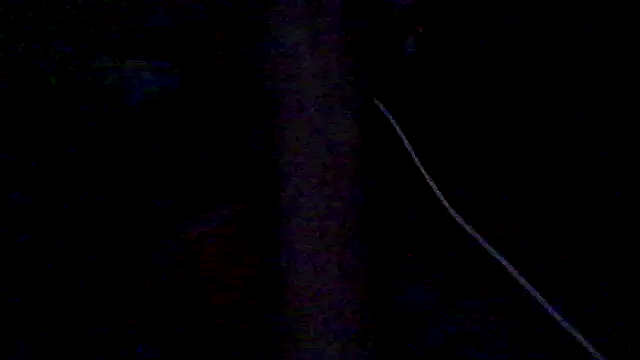 lorraine2036 online show from 02/28/26, 11:32