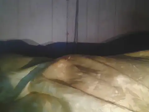 Prikev38452 online show from 04/11/26, 07:45