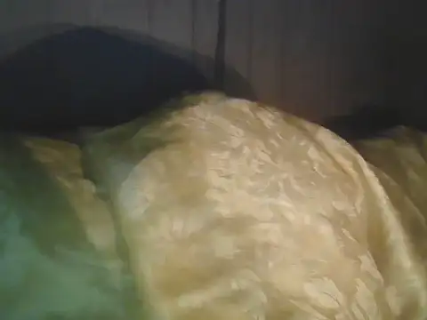 Prikev38452 online show from 04/11/26, 05:59