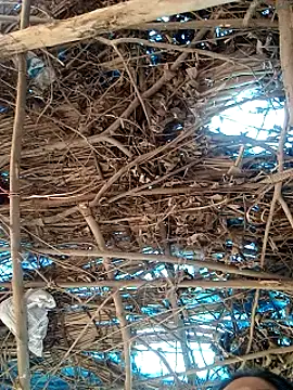 Rajni248096 online show from 03/12/26, 07:56