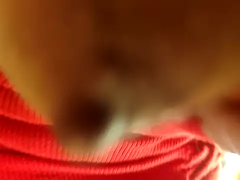 Brissperu18 online show from 02/12/26, 09:09