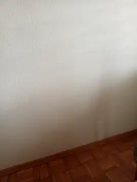 baipal74 online show from 02/19/26, 12:46