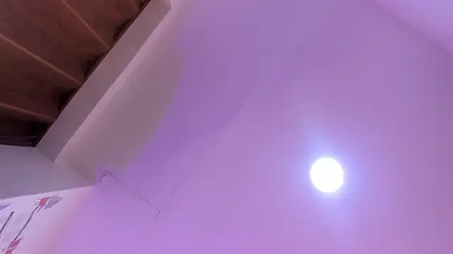 Paris Velvet online show from 04/08/26, 10:33