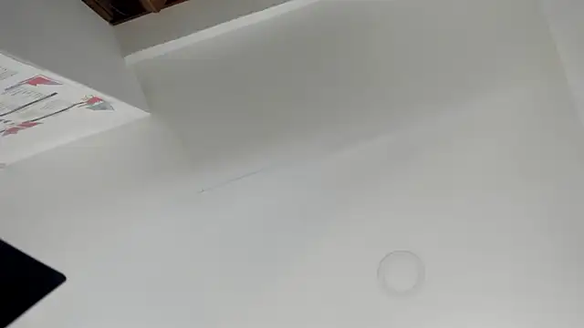 Paris Velvet online show from 03/04/26, 10:17